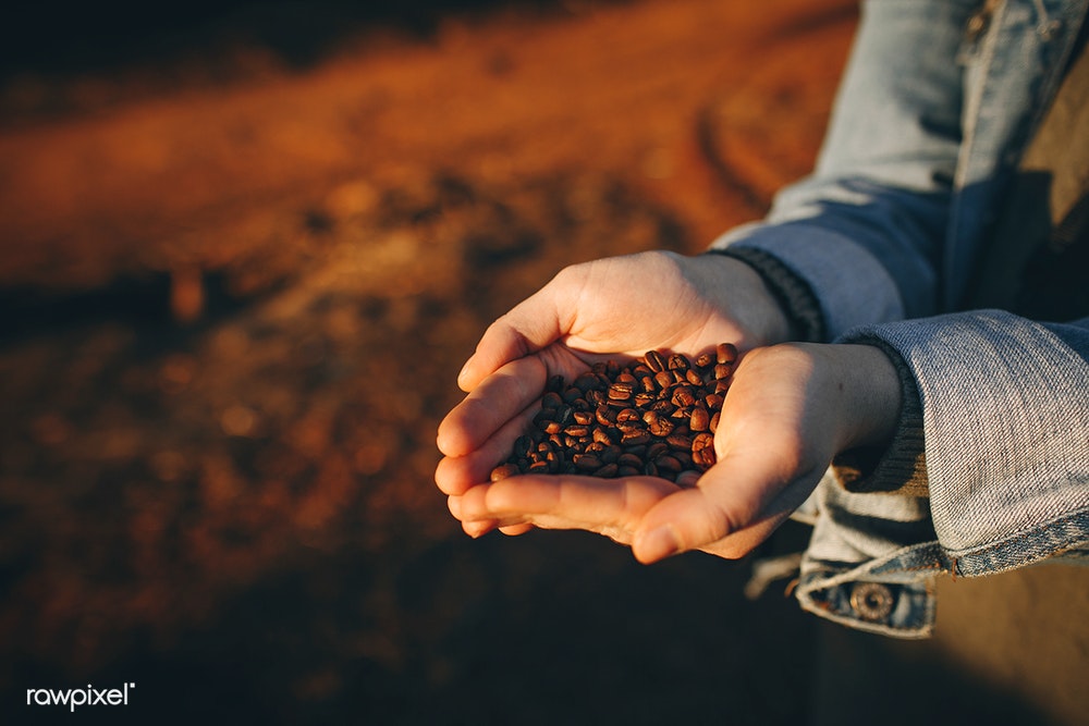 Coffee – From Coffee Beans to Coffee Grinding